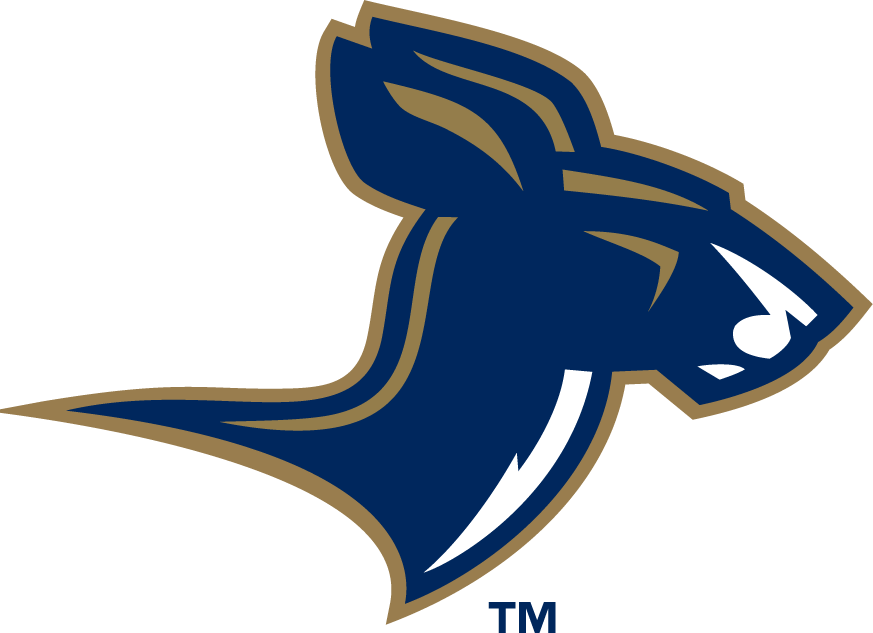 Akron Zips 2002-2007 Alternate Logo 02 vinyl decal